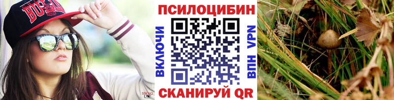 Псилоцибиновые грибы Cubensis  omg ссылки  Дальнегорск  где можно купить  